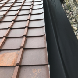 Toiture : conseils pour choisir le bon matériau et concevoir une toiture durable Plesder